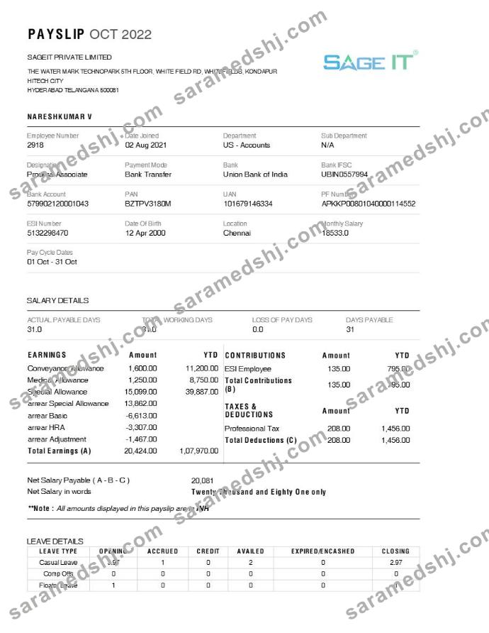 SageIT payslip template in Word and PDF formats.pdf, 1